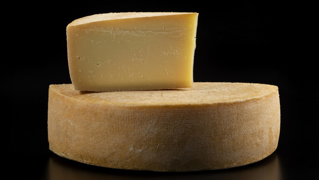 François-Xavier (Le) - Ferme Phylum